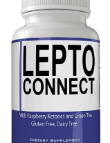 LEPTOCONNECT
