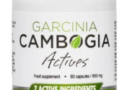 BEST GARCINIA CAMBOGIA ACTIVES